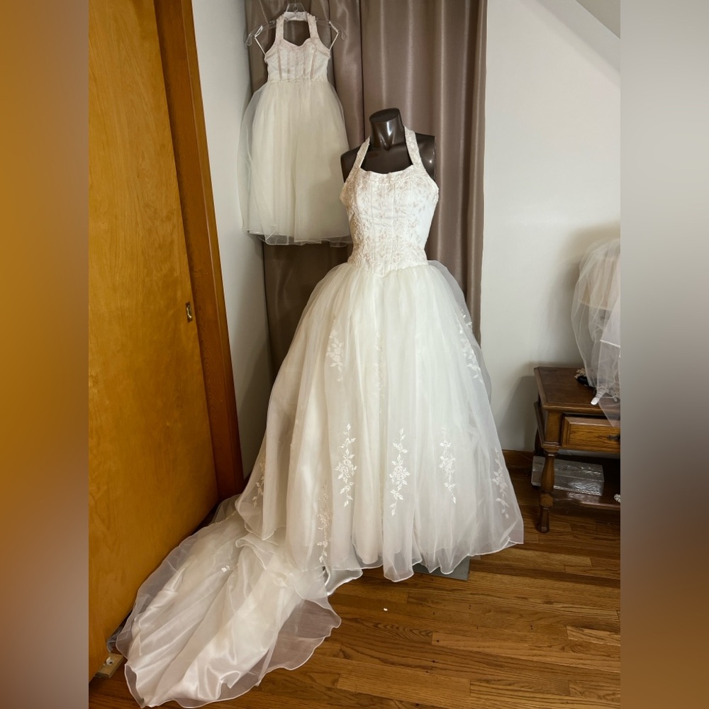 Ivory Michaelangelo princess gown